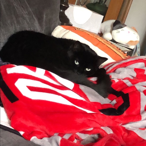 Meet your Posher, Ashley - Picture 1 of 1